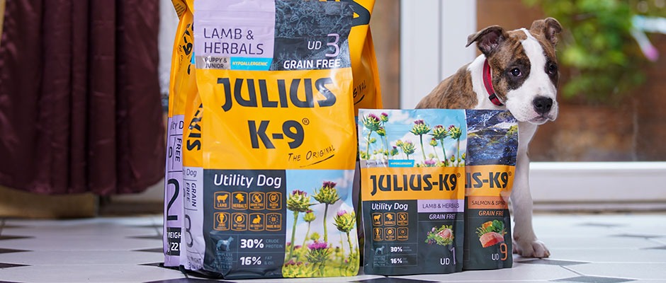 Premium dog food